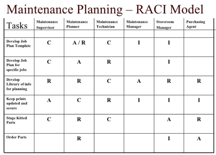RACI Model