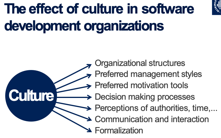 The effect of culture in software development organizations